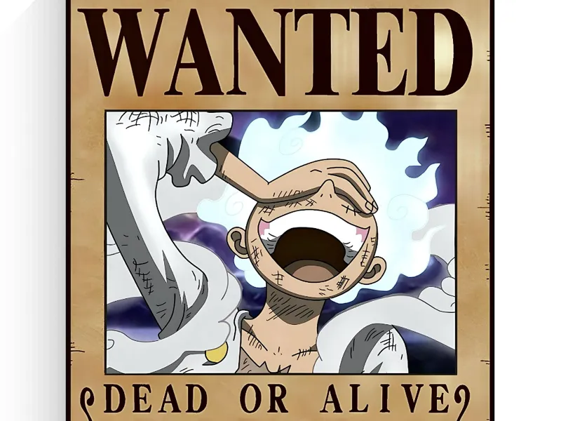 One Piece sign