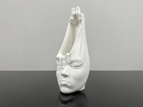 https://makerworld.bblmw.com/makerworld/model/USa6f0f71f7a8e32/design/9415284101c8d832.png
