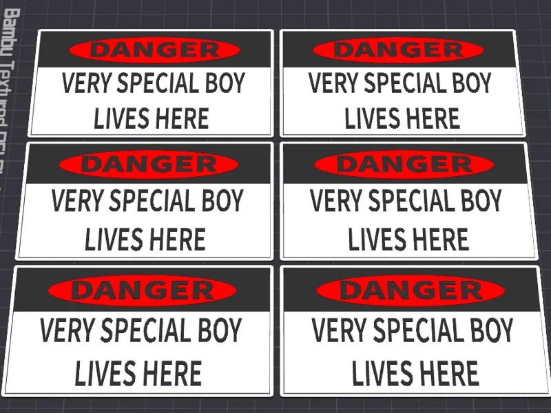 "DANGER - Very Special Boy Lives Here" Sign