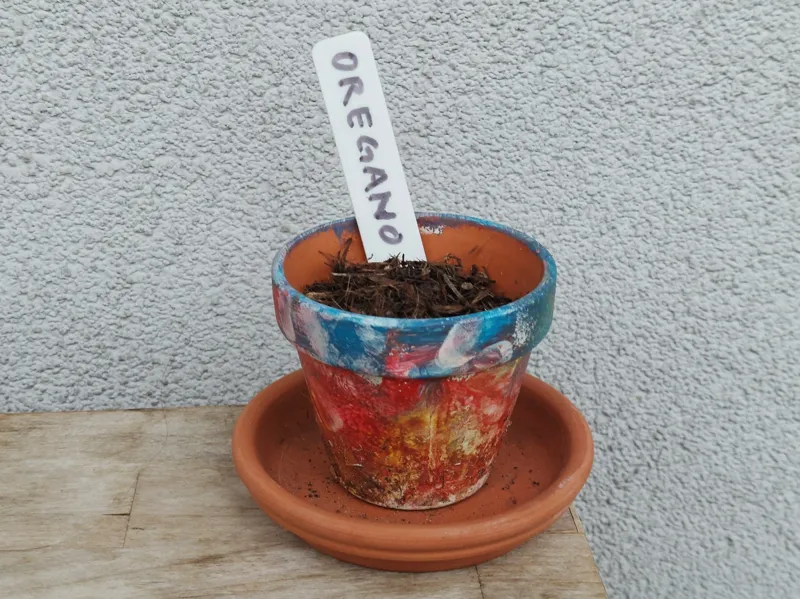 Plant or Seedling Label for Your Own Text
