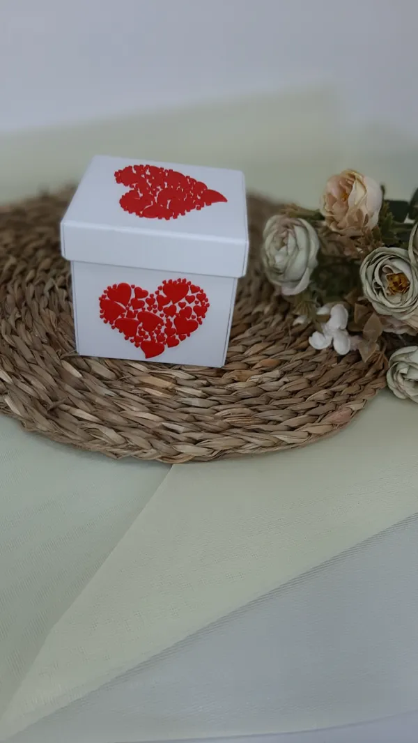 https://makerworld.bblmw.com/makerworld/model/USa6f9327d70d118/design/2024-03-22_4bfc021a428c3.jpg