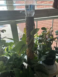 Système modulaire de tuteur en mousse pour plantes — photo 2