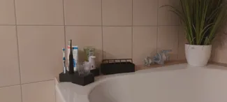Bathroom organizer