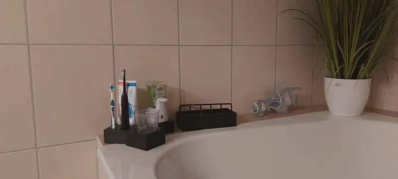 Bathroom organizer