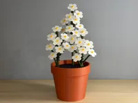 Forget-Me-Nots