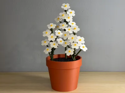 Forget-Me-Nots