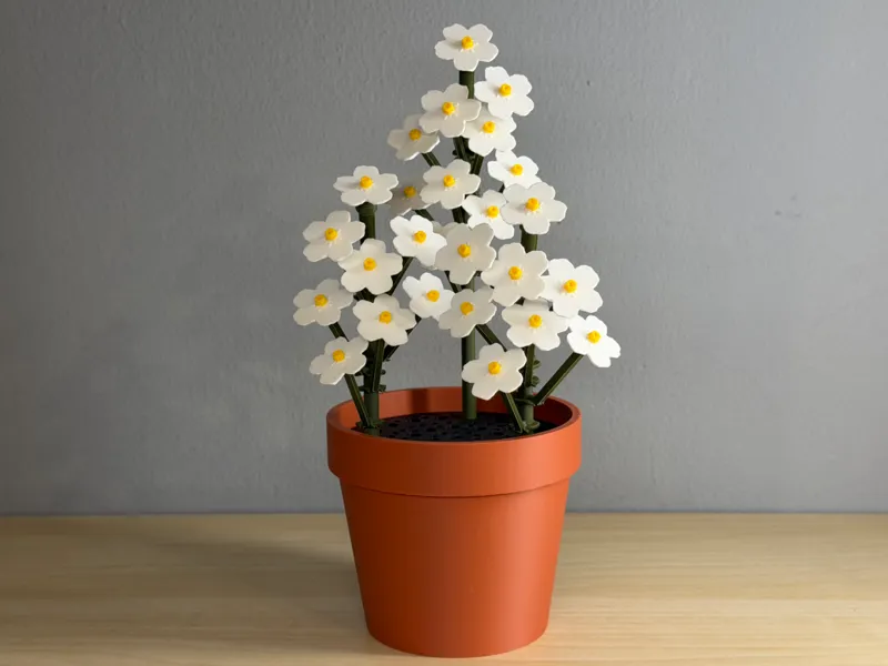 Forget-Me-Nots