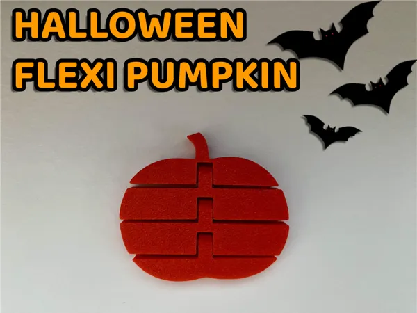 https://makerworld.bblmw.com/makerworld/model/USa70cb7e928173c/design/2024-10-21_7bcd284ec3357.png