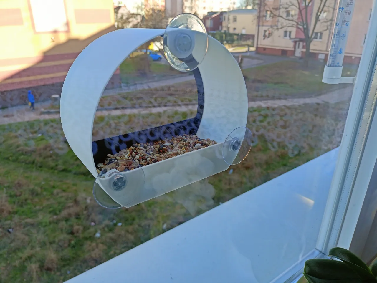 Window bird feeder view 3