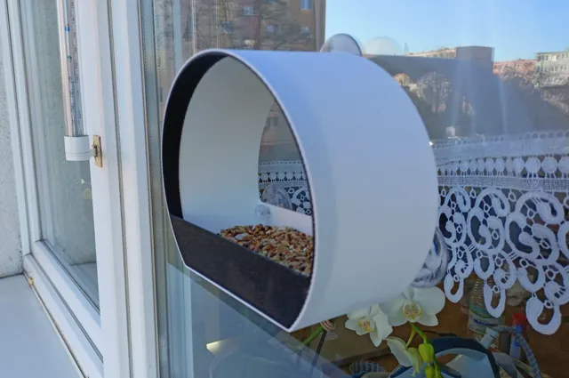 Window bird feeder
