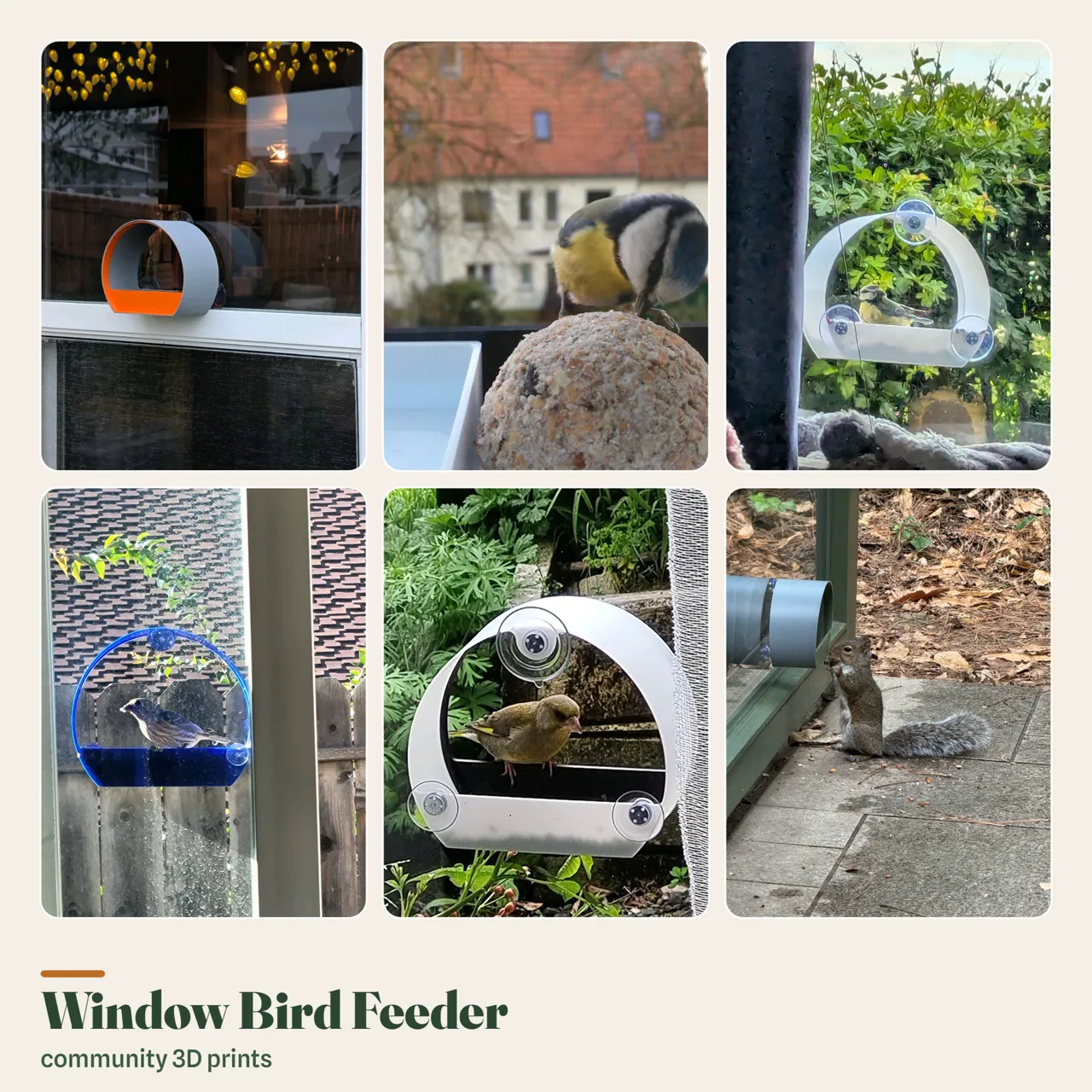 Window bird feeder view 2