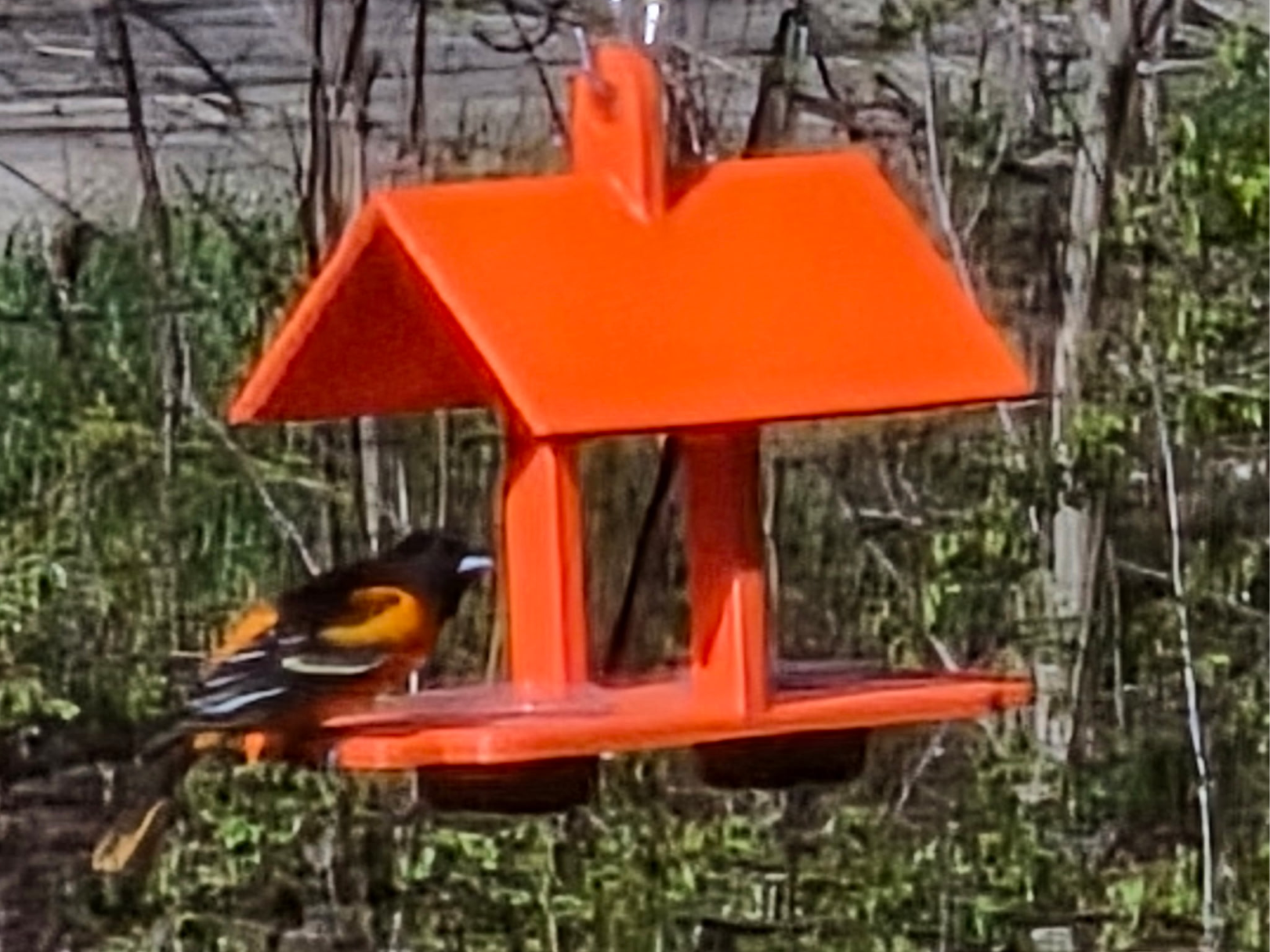 Dual Cup Oriole Feeder