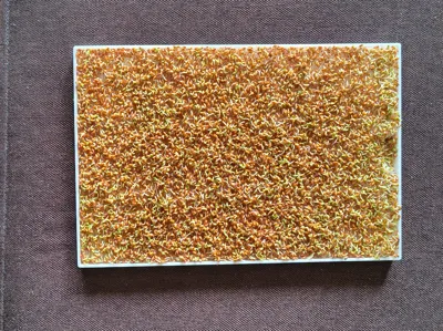 Cress Farm