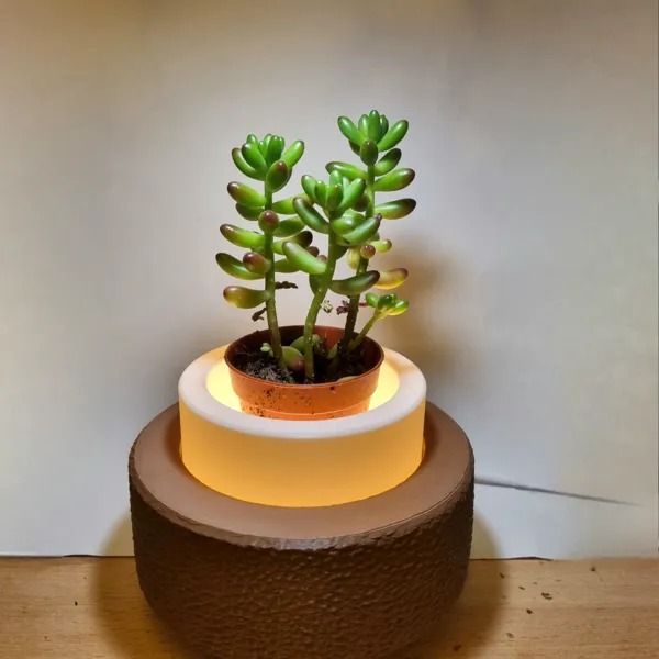 https://makerworld.bblmw.com/makerworld/model/USa715c5d9f17ffc/design/2024-04-18_da0ca6e8587a5.jpg