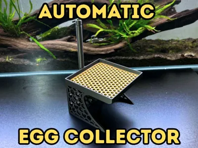 Automatic Egg Collector