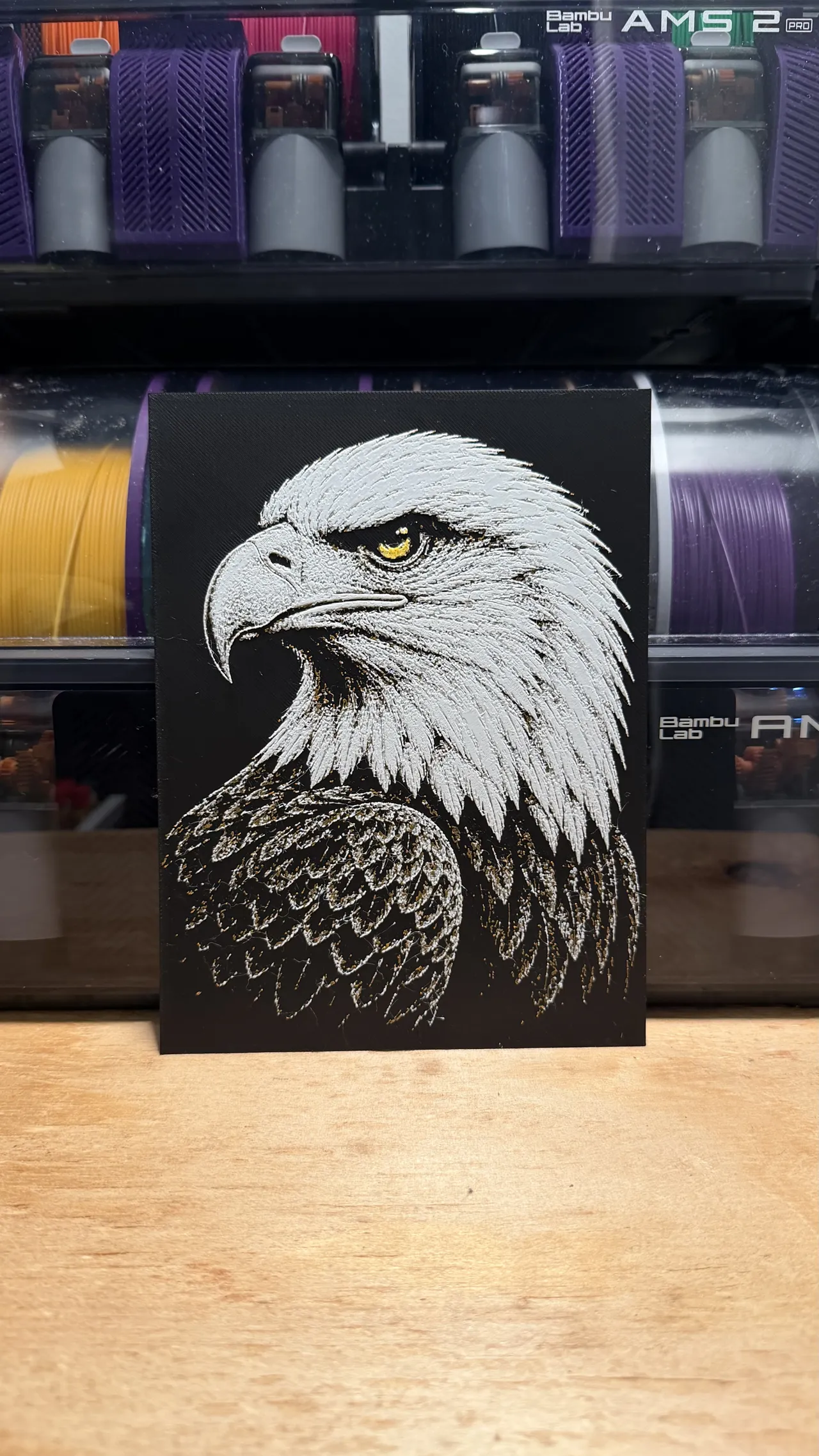 Eagle HueForge view 3
