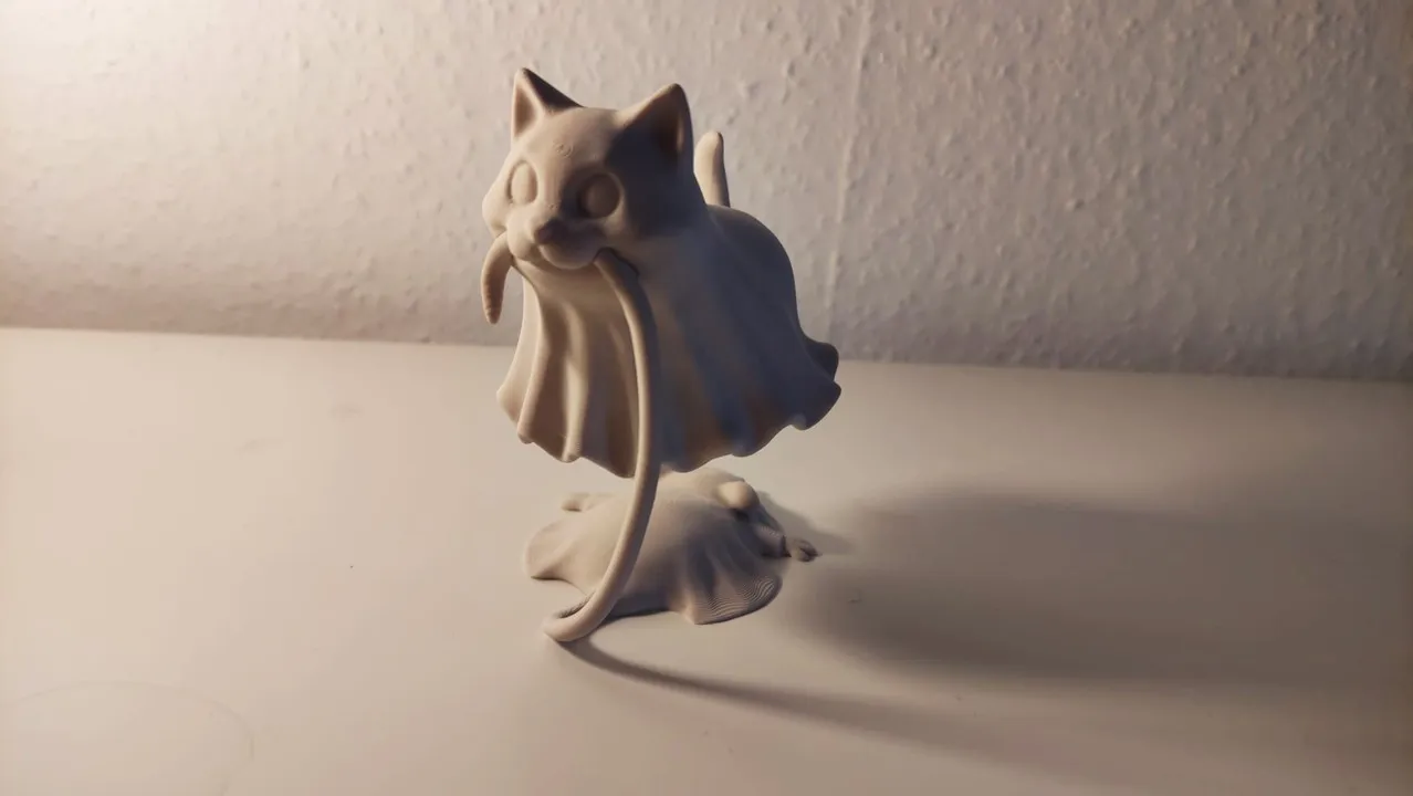 Floating Ghost Cat Illusion view 2