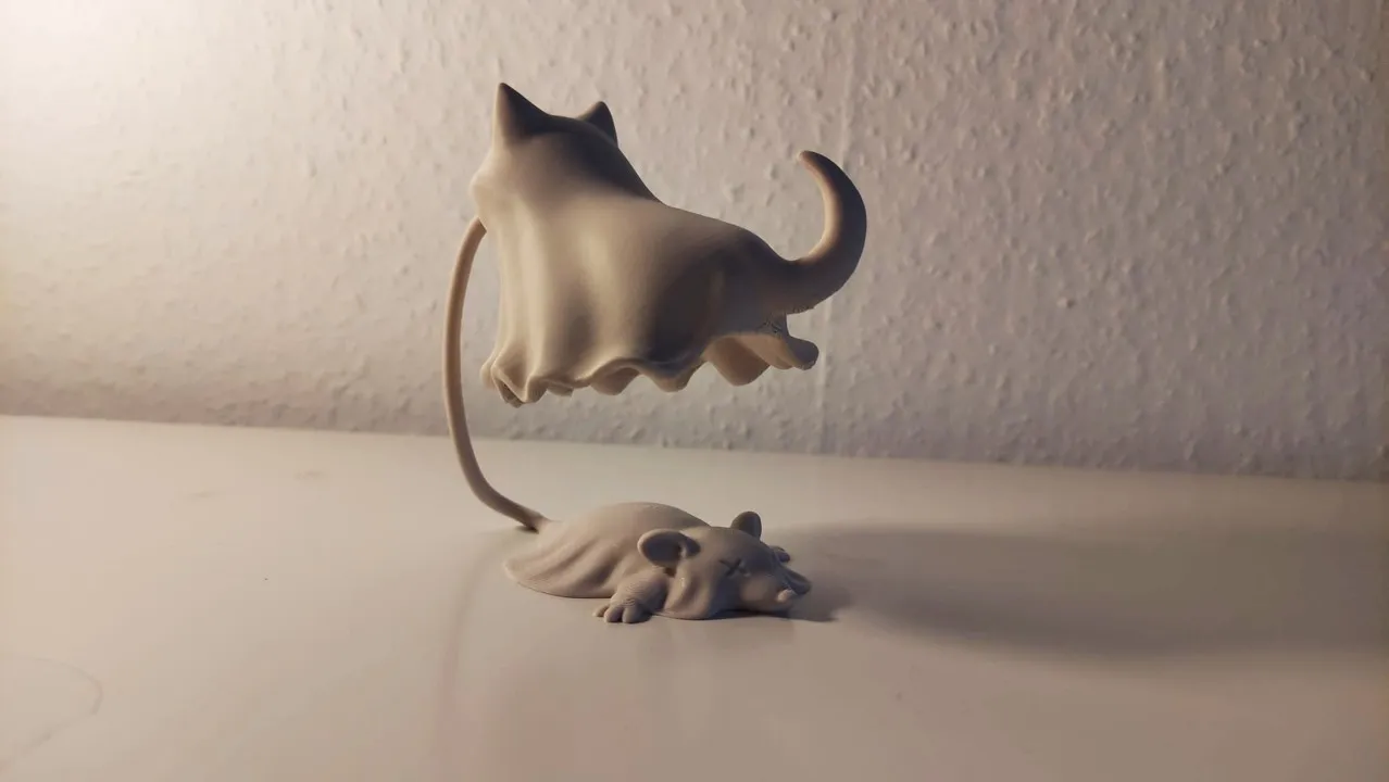 Floating Ghost Cat Illusion view 3