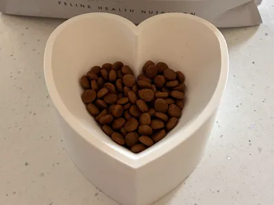 Cat bowl - heart