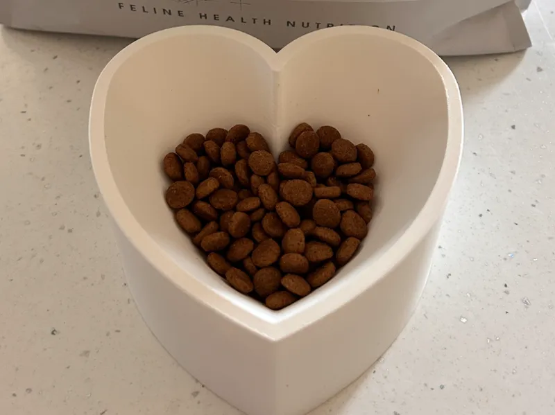 Cat bowl - heart