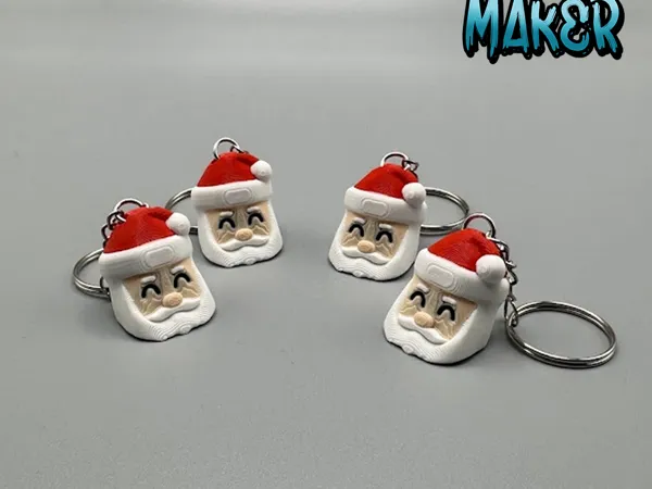 https://makerworld.bblmw.com/makerworld/model/USa7303b79c219cd/design/2024-11-18_fa3c219984271.jpg