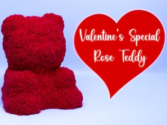 Rose Teddy