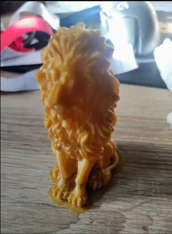 Lion Statue - Socha lva