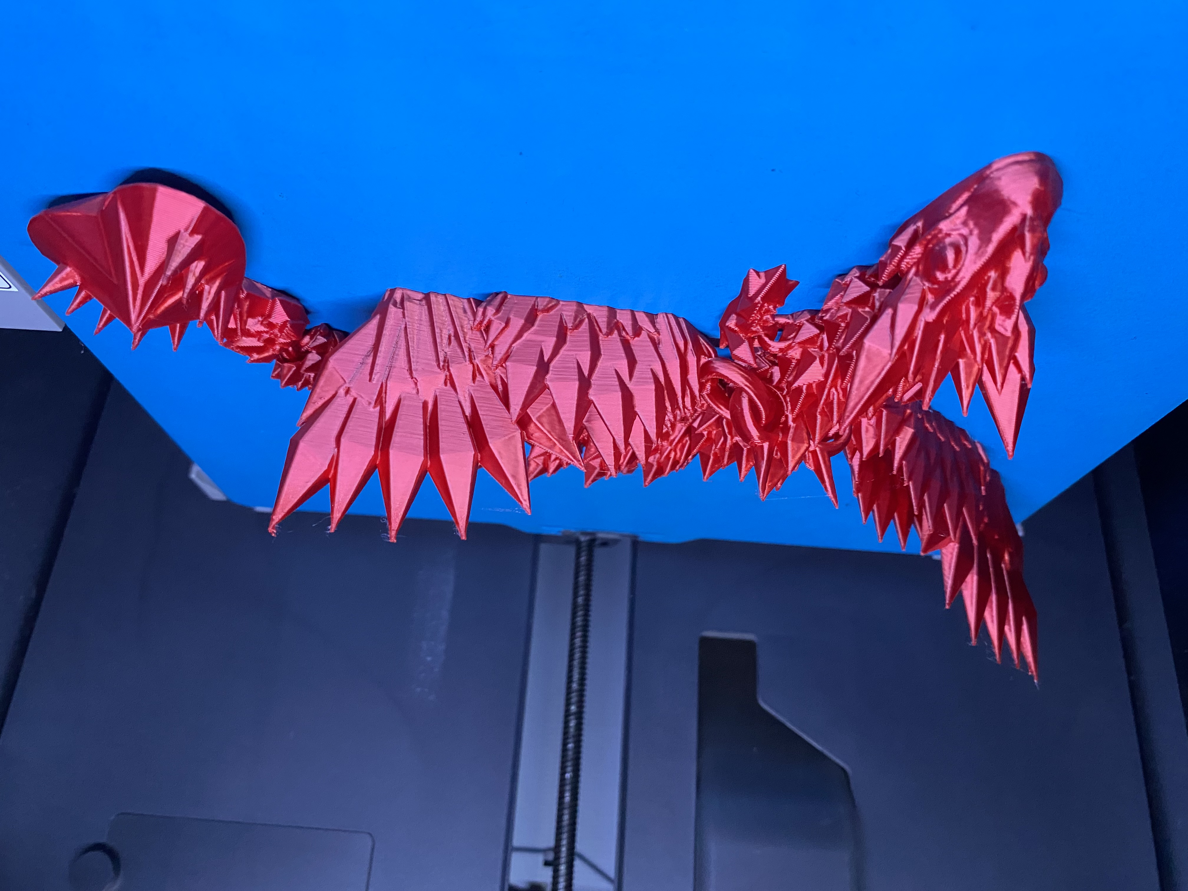 Standard (71 g)