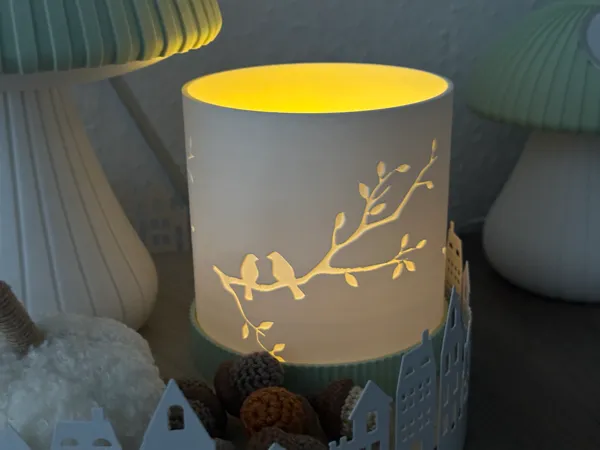 https://makerworld.bblmw.com/makerworld/model/USa738479b5bd365/design/2025-09-27_0f6fb4286a1338.jpeg