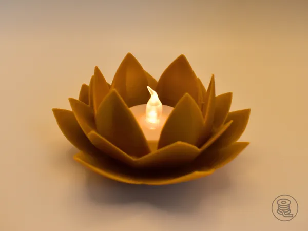 https://makerworld.bblmw.com/makerworld/model/USa738d6518ef201/design/2024-12-31_a5fb8a95b0715.png