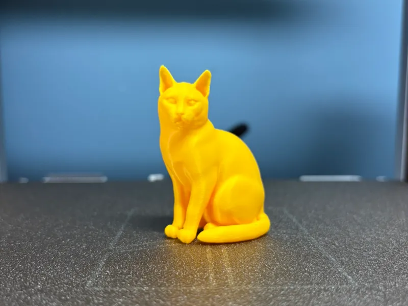 Simple Cat