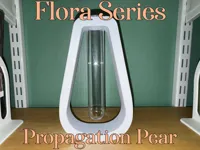 Pear Propagation Station - Exposed Roots and Indirect Light