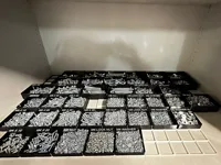 0.6mm nozzle, 0.33mm layer, 5 walls, 10% infill