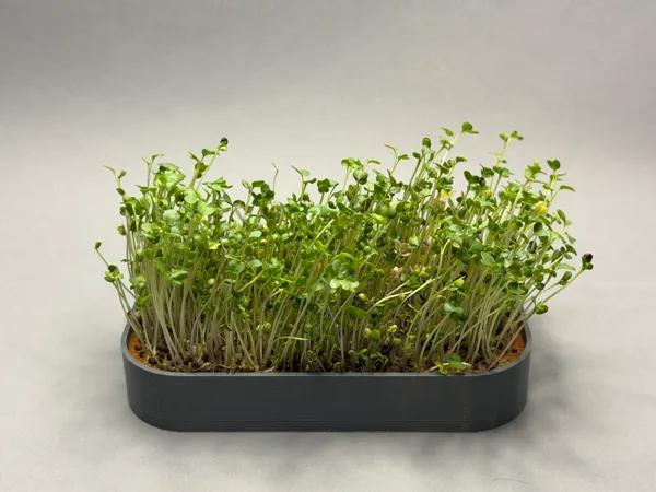 https://makerworld.bblmw.com/makerworld/model/USa751ab7429999d/design/2025-12-20_f89de43d5ba56.jpeg