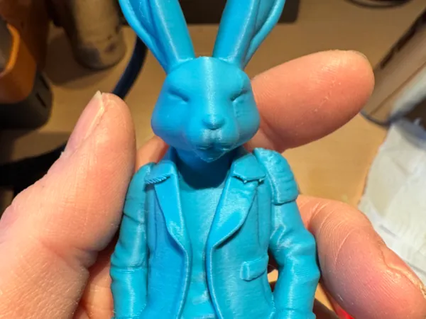 https://makerworld.bblmw.com/makerworld/model/USa751d5afc5b75b/design/2025-03-01_36b1a3b48f0d08.jpg
