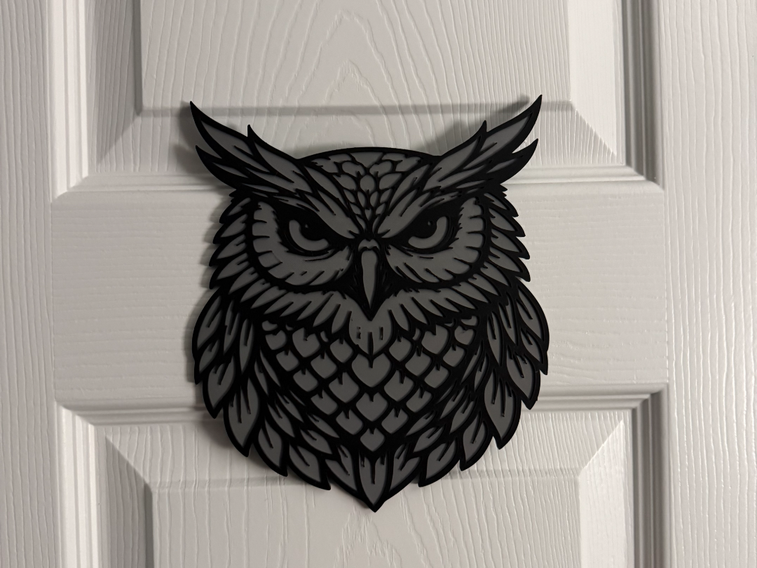 OWL WALL ART