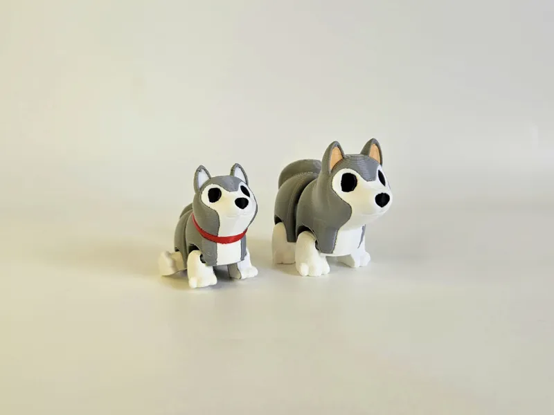 Cute Husky