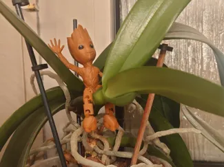 FARBIGER BEWEGLICHER BABY GROOT OHNE SCHLÜSSELRING