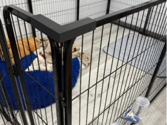 Dog Fence Stablizers