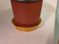 0.2mm layer, 3 walls, 5% infill