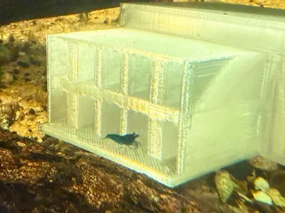Shrimp trap for Aquariums (fewer Snails)