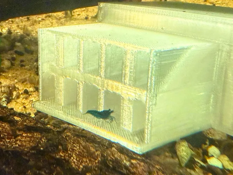 Shrimp trap for Aquariums (fewer Snails)