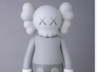 KAWS original