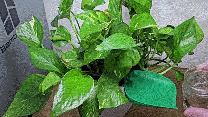 https://makerworld.bblmw.com/makerworld/model/USa764ab73f996de/design/2025-03-07_7112b5303caaa.gif