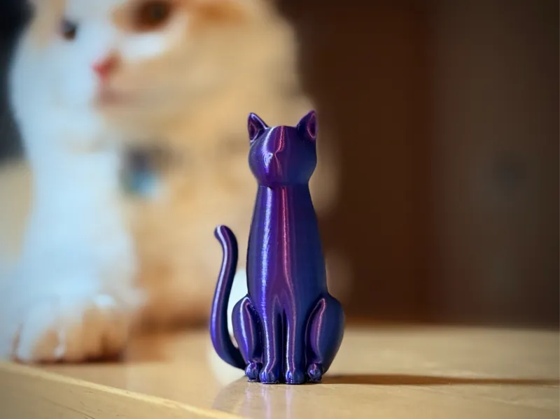 Sitting Cat