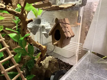Modelo para impresión 3D: Terra Birdhouse — vista de referencia 5