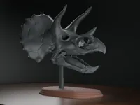 0.16mm layer, 2 walls, 5% infill