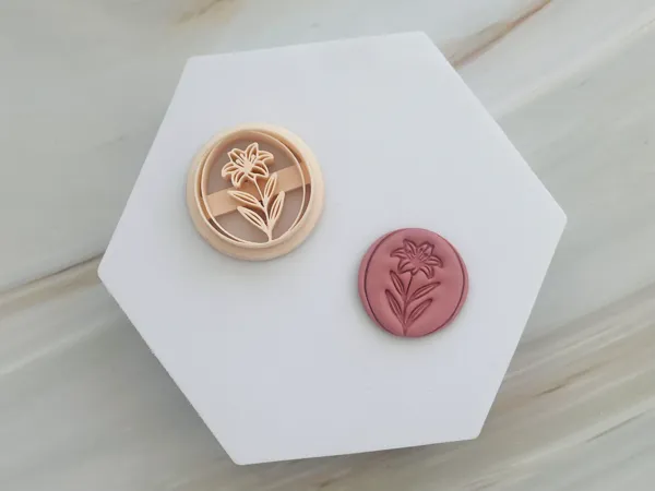 https://makerworld.bblmw.com/makerworld/model/USa76b6c232d211b/design/2025-09-25_5dd6bd8ecc6b7.jpeg