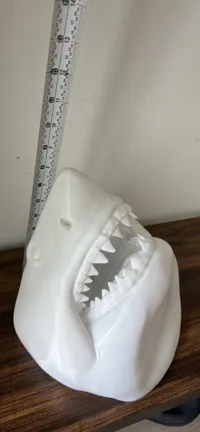 Shark head 19.6in (50cm)