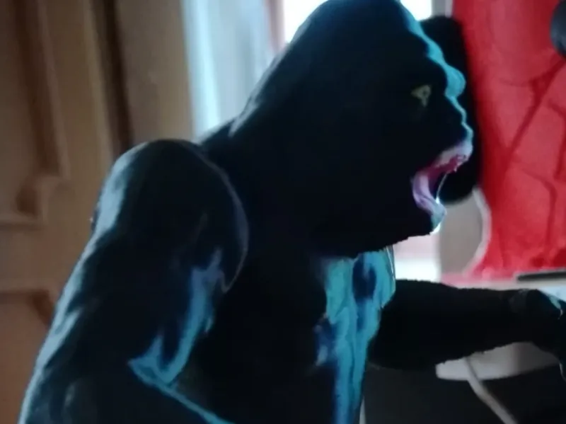Gorilla